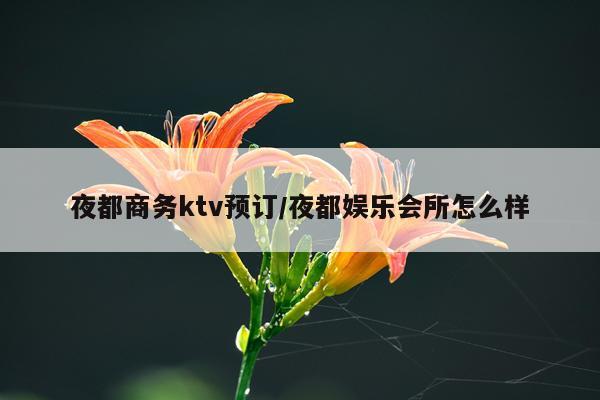 夜都商务ktv预订/夜都娱乐会所怎么样